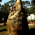 Mother_of_gondwanaland_earth_and_cement
