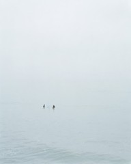 Untitled #8,Catherine Opie