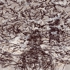 John_bailly
