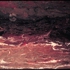 Desert_sea