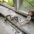 Doll_and_gas_mask_-_web