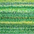 Language_of_grass