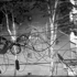 Rousseau_5