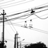 Rousseau_1