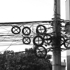 Rousseau_2