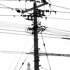 Rousseau_4