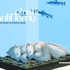 Pa3_cover_2009