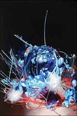 ,Robert Horvath