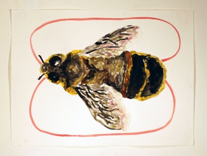 Honeybee