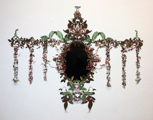 02_queen_ludisia_discolor