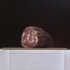 Coppa_di_parma
