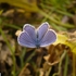 Hudie__4_
