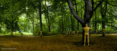 Sexynature_pano_version