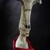Penitant_005