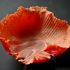 Fragiles_2008_aprill_064