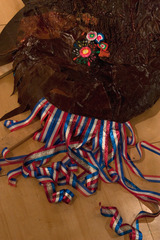 Mca_image_gaspar