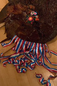 Mca_image_gaspar