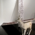 Imagefinal07