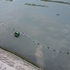 Dkr_image_01