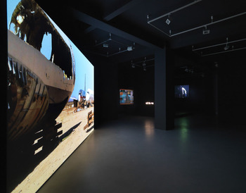 Steyerl030309_002