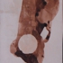 Dsc01507