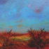 Dartmoor_1