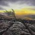 Malham_cove_limestone_pavement