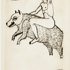 Andreco_weird_predator