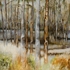 Illuminated_forest