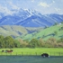 Budicin-cooler_in_the_shade_oil_12x16