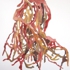04_roots