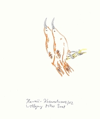 Hawaii-Krausschwanz 12,Wolfgang Müller
