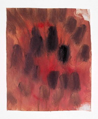 The Light of Pain,Iris Klein