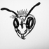 2009_09_guieu_lucy_darwin_and_me_01