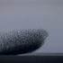 Interval_ii_no_7