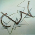 Jack_reilly_rhythm_1981