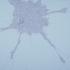 Orm_042806
