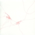 Orm112907