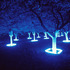 Lightgarden_front_1500px