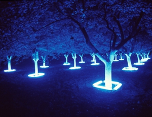 Lightgarden_front_1500px