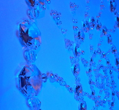 Ammonitecloseupcrop_1