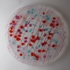 Hdpartyplate1