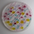 Hdpartyplate2