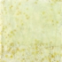Orangetip__mixed_media_encaustic_on_panel__12
