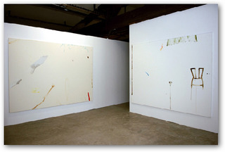 (installation view Balice Hertling),Samuel Richardot