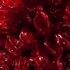 Ppdetail1_copy