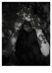 ,Henry Hinterland