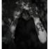 Henry_hinterland_2