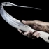 Bild_thumbs