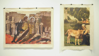 ,Anne Humanfeld